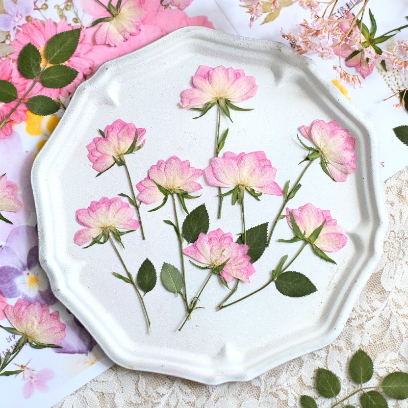 Resin Craft Ideas - 12 stuks, echte gedroogde geperste bloemen