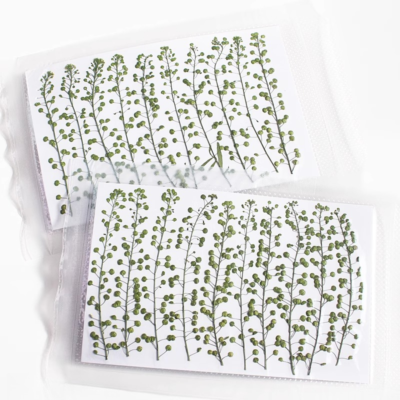 Natuurlijke kleur groene bel g - Resin Craft Ideas recensie en prijs