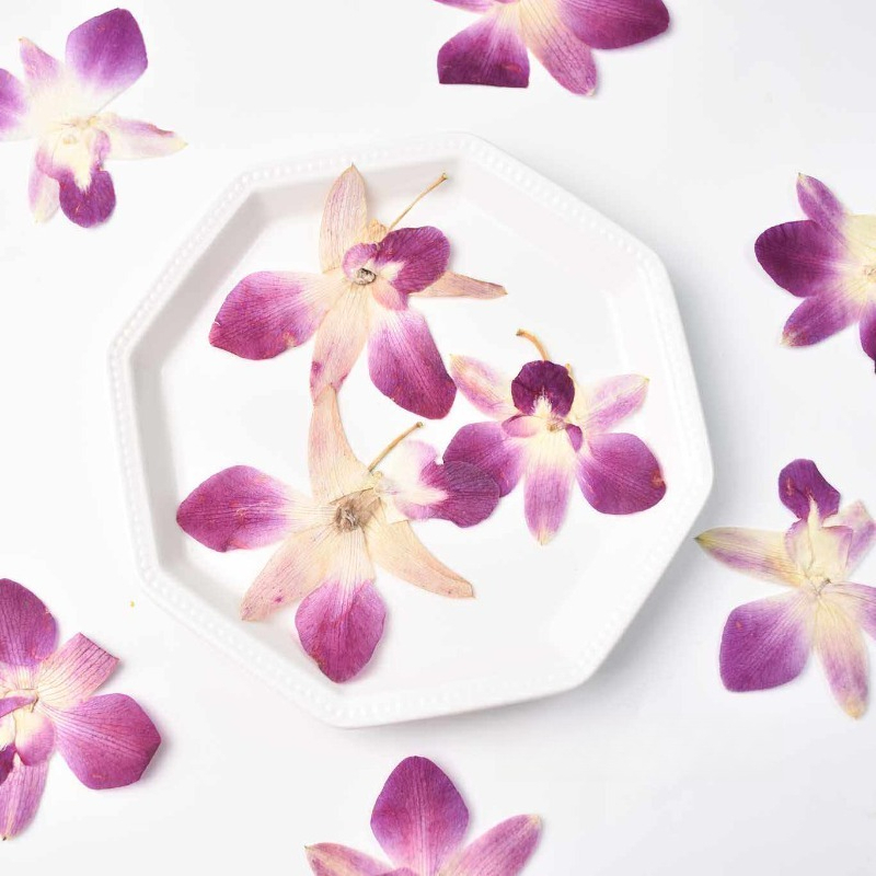 4 stuks, echte geperste vlinde - Resin Craft Ideas recensie en prijs