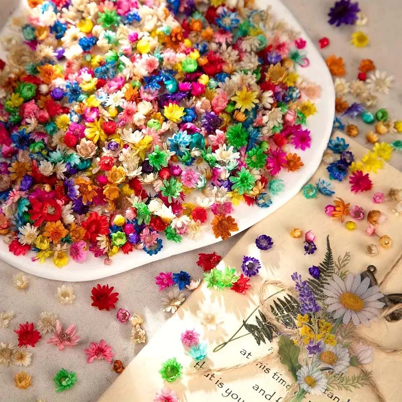 Gemengde kleurrijke bloem voor - Resin Craft Ideas recensie en prijs